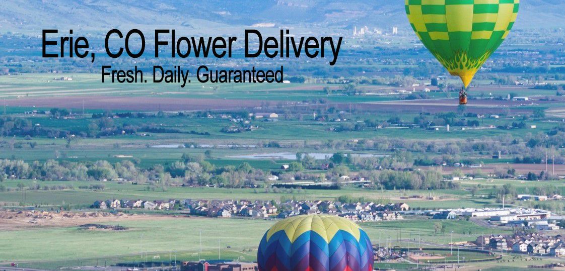 Erie, CO Flower Delivery