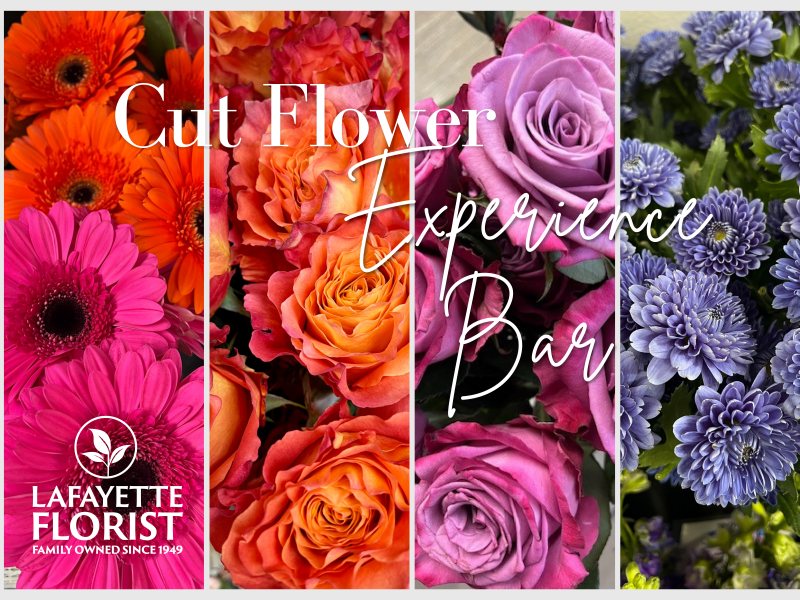 Cut flower experience zone.png