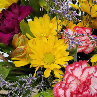 Designer's Choice Bright and Cheerful :: Lafayette Florist