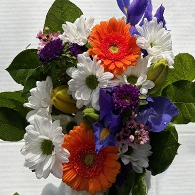 Designer's Choice Arrangement- Bright & Cheerful